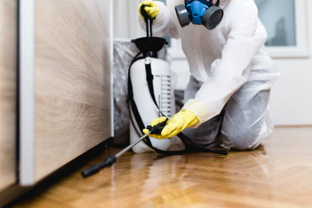Best Exterminator Services  in Brockport, NY