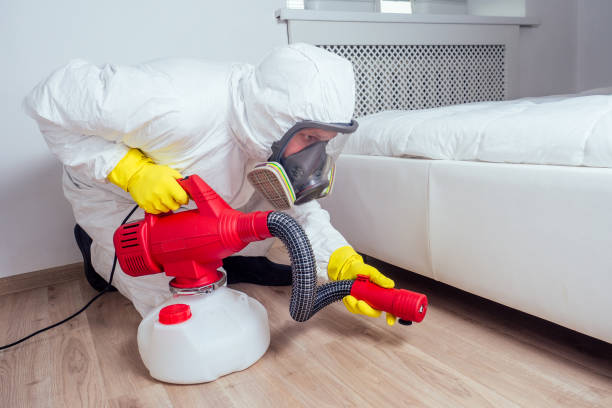 Trusted Brockport, NY Pest Control Experts