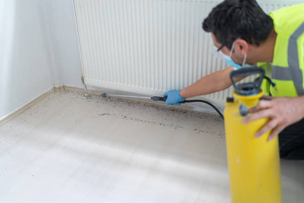 Best Pest Removal Services  in Brockport, NY